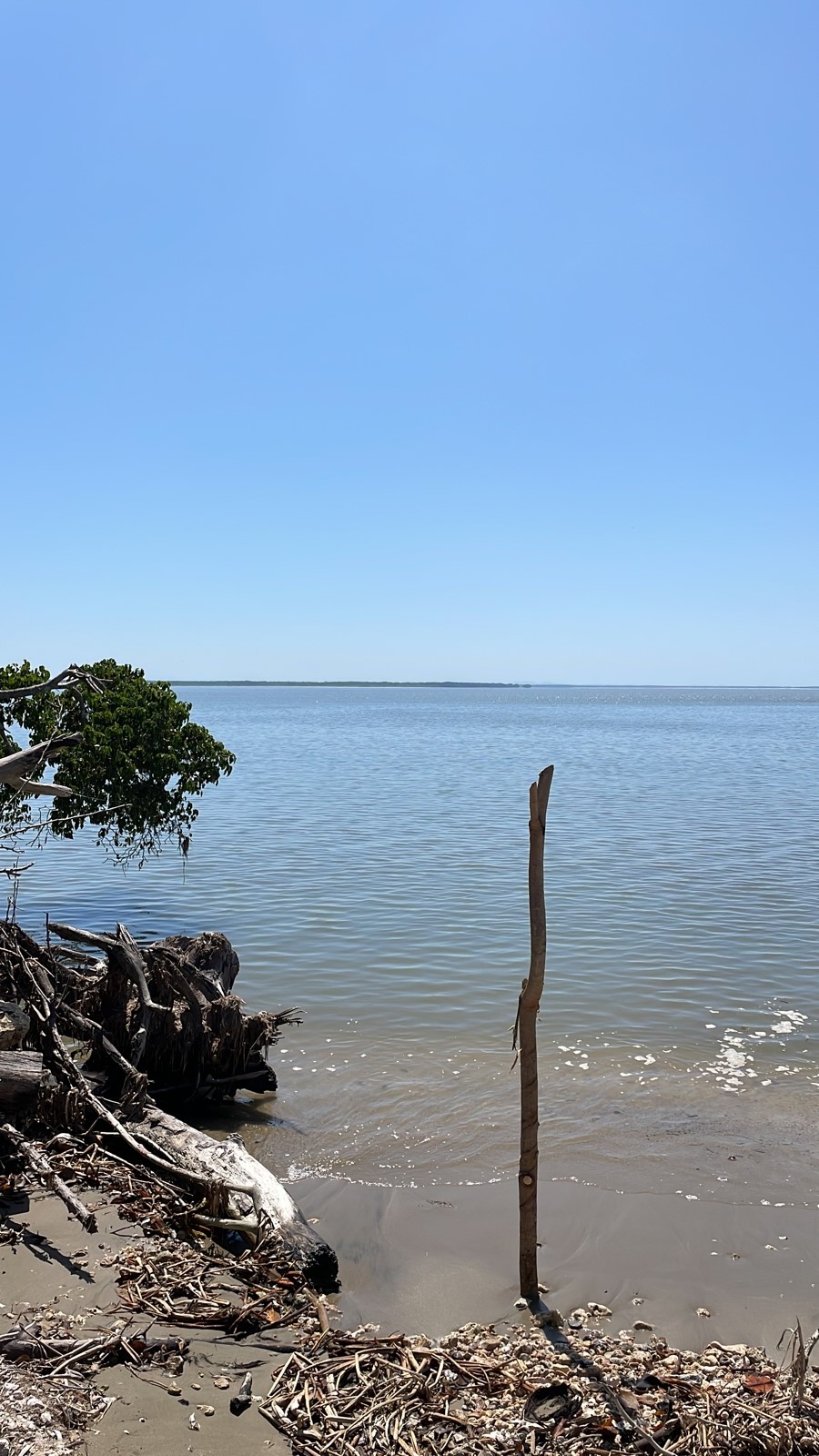 2df3d34e-cb20-44c7-9136-5150591cb93b