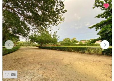 PHOTO-2020-12-08-07-59-21 (1)