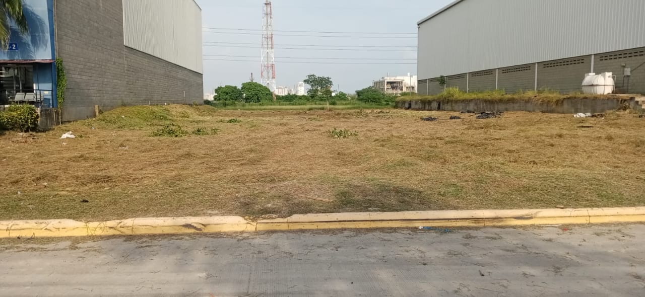 WhatsApp Image 2023-09-11 at 11.31.24 AM (1)