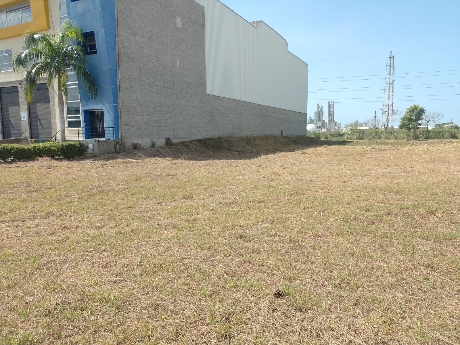 WhatsApp Image 2023-09-11 at 11.31.45 AM (1)