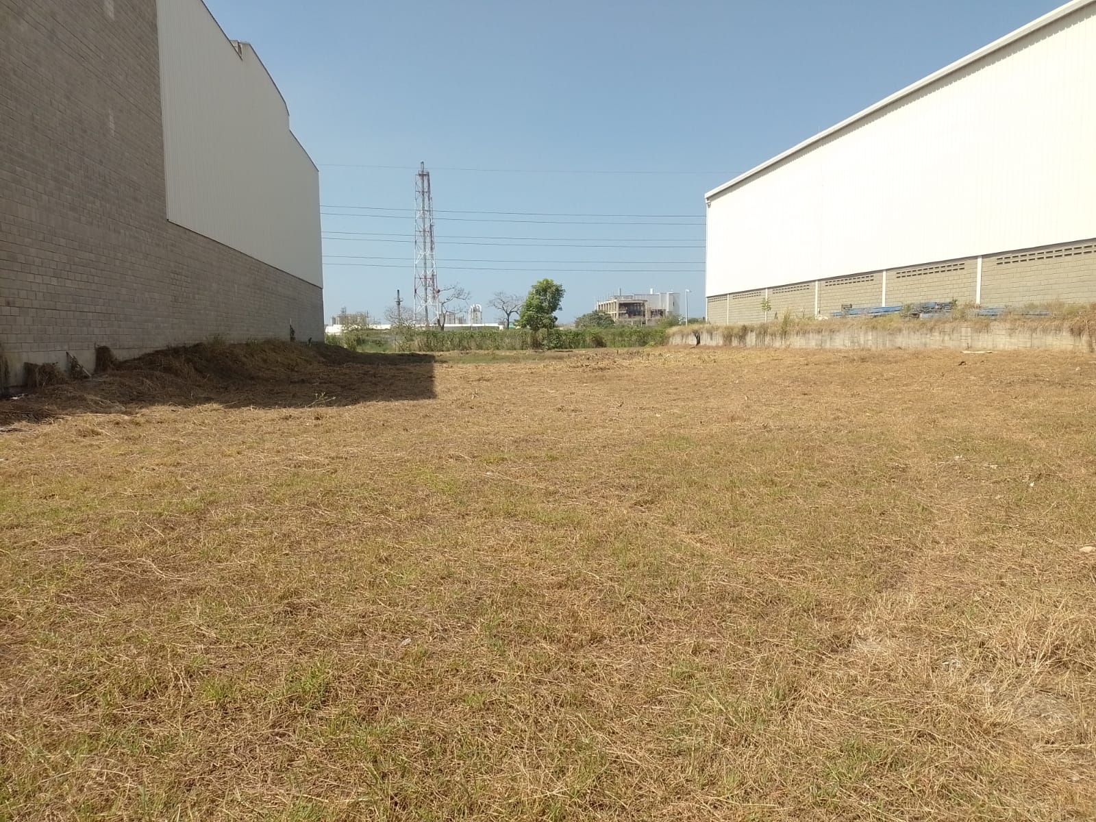 WhatsApp Image 2023-09-11 at 11.31.45 AM (2)