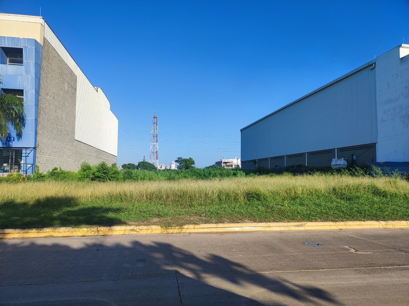 WhatsApp Image 2023-09-11 at 11.31.45 AM (3)